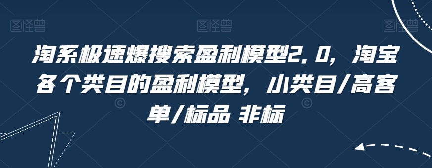 淘系极速爆搜索盈利模型2.0，淘宝各个类目的盈利模型，小类目/高客单/标品 非标-杨大侠副业网