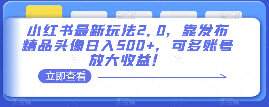 小红书最新玩法2.0，靠发布精品头像日入500+，可多账号放大收益！【揭秘】-杨大侠副业网