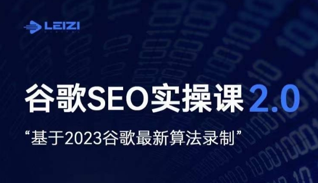 雷子·谷歌SEO 2.0实战课，独立站询盘自由必备，基于2023谷歌最新算法录制-杨大侠副业网