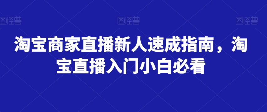 淘宝商家直播新人速成指南，淘宝直播入门小白必看-杨大侠副业网