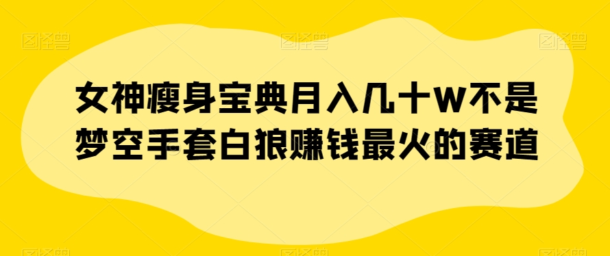 女神瘦身宝典月入几十W不是梦空手套白狼赚钱最火的赛道【揭秘】-杨大侠副业网