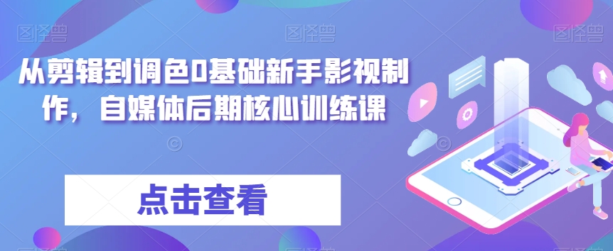 从剪辑到调色0基础新手影视制作，自媒体后期核心训练课-杨大侠副业网