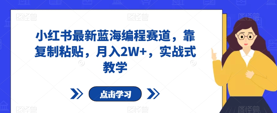 小红书最新蓝海编程赛道，靠复制粘贴，月入2W+，实战式教学【揭秘】-杨大侠副业网