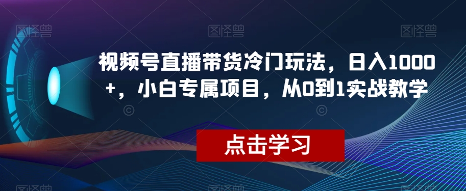 视频号直播带货冷门玩法，日入1000+，小白专属项目，从0到1实战教学【揭秘】-杨大侠副业网