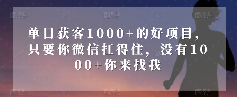 单日获客1000+的好项目，只要你微信扛得住，没有1000+你来找我【揭秘】-杨大侠副业网