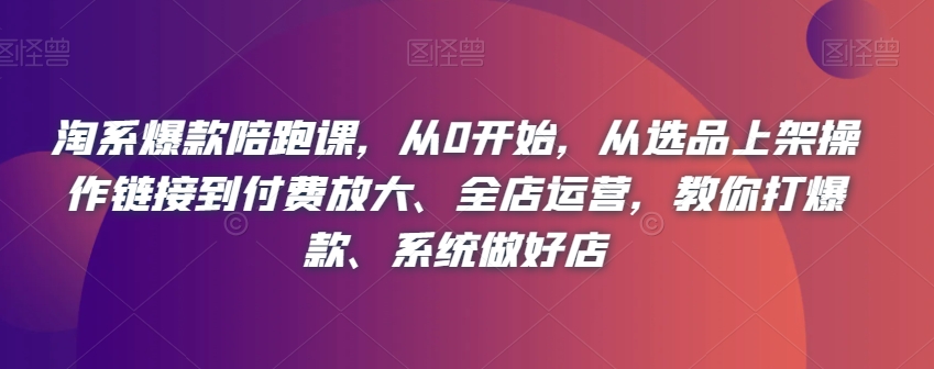 淘系爆款陪跑课，从0开始，从选品上架操作链接到付费放大、全店运营，教你打爆款、系统做好店-杨大侠副业网