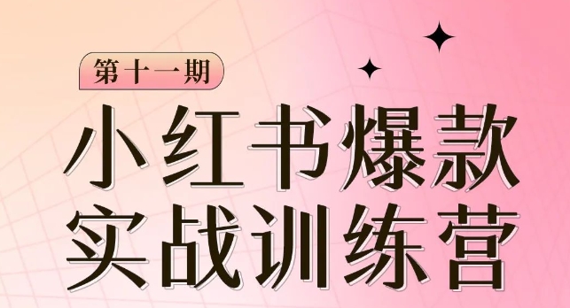 小红书博主爆款训练营第11期，手把手教你从0-1做小红书，从定位到起号到变现-杨大侠副业网