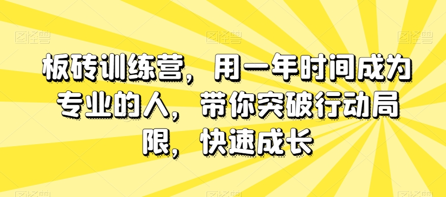 板砖训练营，用一年时间成为专业的人，带你突破行动局限，快速成长-杨大侠副业网