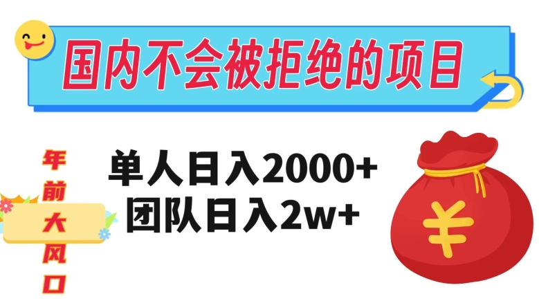 在国内不怕被拒绝的项目，单人日入2000，团队日入20000+【揭秘】-杨大侠副业网