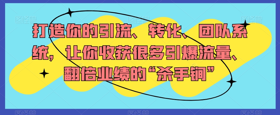 打造你的引流、转化、团队系统，让你收获很多引爆流量、翻倍业绩的“杀手锏”-杨大侠副业网