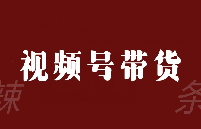 视频号带货联盟，赚信息差的带货钱，只需手机随时随地都可以做！-杨大侠副业网