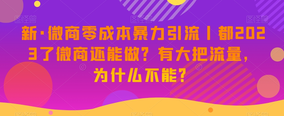 新·微商零成本暴力引流丨都2023了微商还能做？有大把流量，为什么不能？-杨大侠副业网