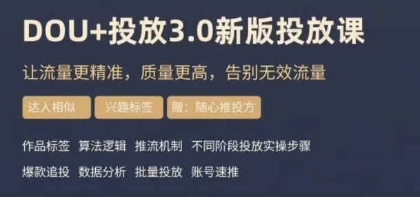 dou+豆荚投放实操课3.0新版，让流量更精准，质量更高，告别无效流量-杨大侠副业网