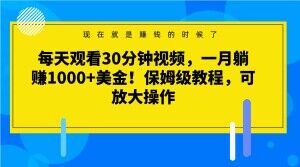 每天观看30分钟视频，一月躺赚1000+美金！保姆级教程，可放大操作【揭秘】-杨大侠副业网