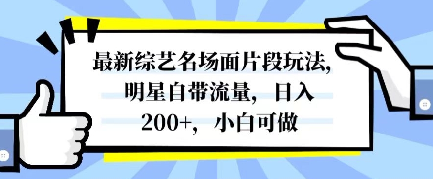 最新综艺名场面片段玩法，明星自带流量，日入200+，小白可做【揭秘】-杨大侠副业网