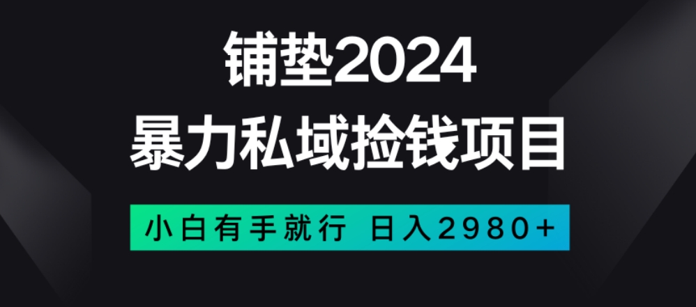 暴力私域捡钱项目，小白无脑操作，日入2980【揭秘】-杨大侠副业网