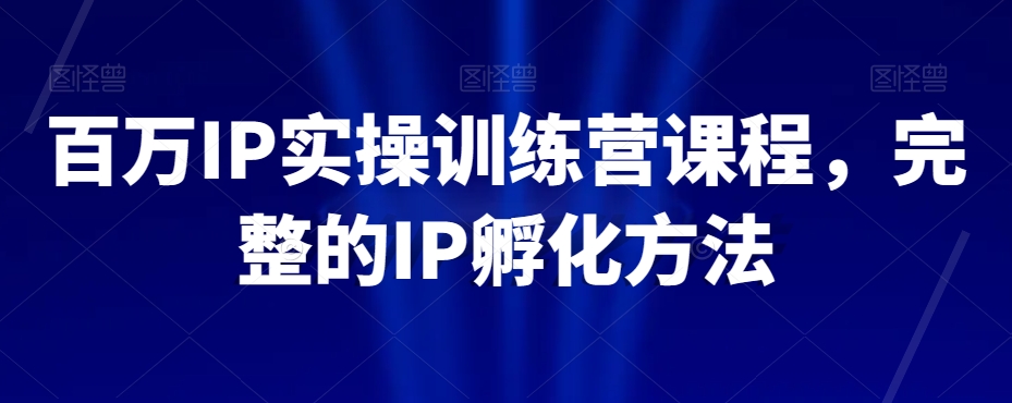 百万IP实操训练营课程，完整的IP孵化方法-杨大侠副业网