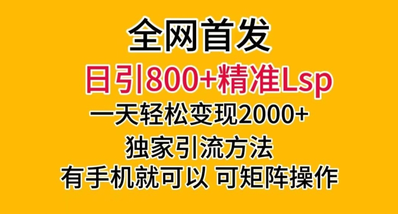 全网首发！日引800+精准老色批，一天变现2000+，独家引流方法，可矩阵操作【揭秘】-杨大侠副业网