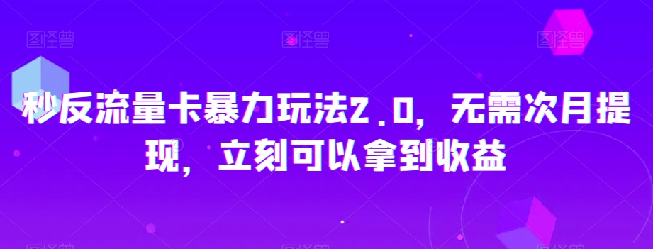 秒反流量卡暴力玩法2.0，无需次月提现，立刻可以拿到收益【揭秘】-杨大侠副业网