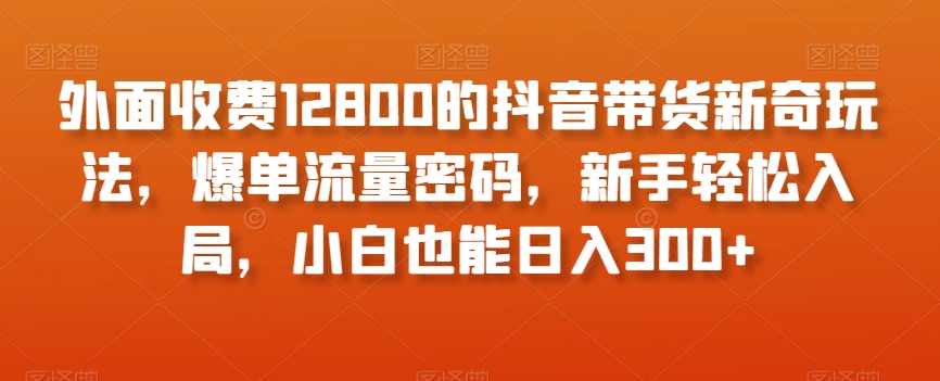 外面收费12800的抖音带货新奇玩法，爆单流量密码，新手轻松入局，小白也能日入300+【揭秘】-杨大侠副业网