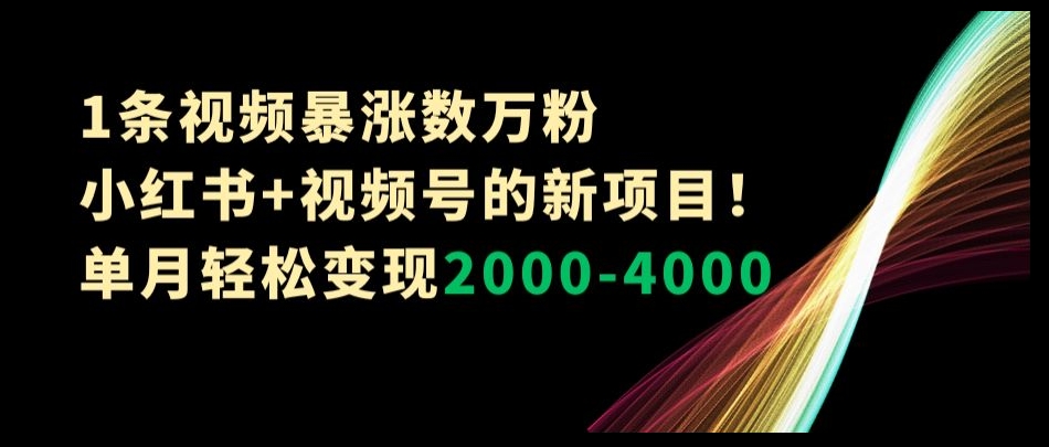 1条视频暴涨数万粉–小红书+视频号的新项目！单月轻松变现2000-4000【揭秘】-杨大侠副业网