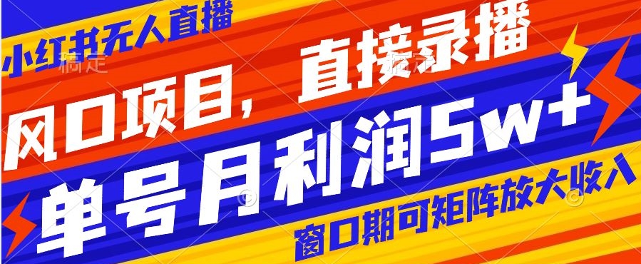 风口项目，小红书无人直播带货，直接录播，可矩阵，月入5w+【揭秘】-杨大侠副业网