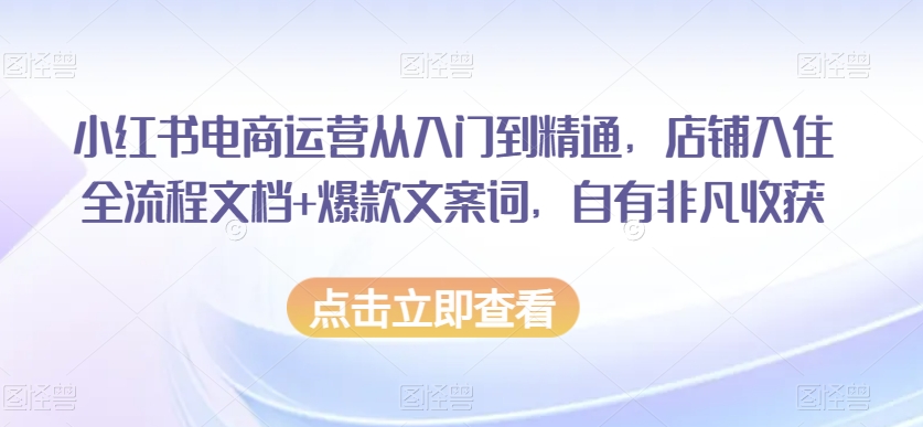 小红书电商运营从入门到精通，店铺入住全流程文档+爆款文案词，自有非凡收获-杨大侠副业网