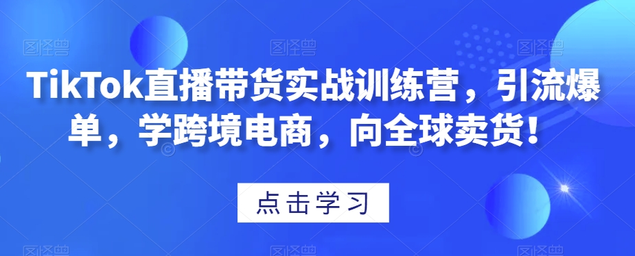 TikTok直播带货实战训练营，引流爆单，学跨境电商，向全球卖货！-杨大侠副业网