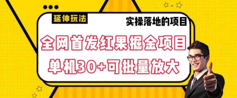 全网首发红果免费短剧掘金项目，单机30+可批量放大【揭秘】-杨大侠副业网