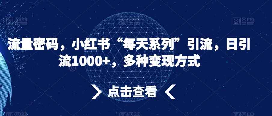 流量密码，小红书“每天系列”引流，日引流1000+，多种变现方式【揭秘】-杨大侠副业网