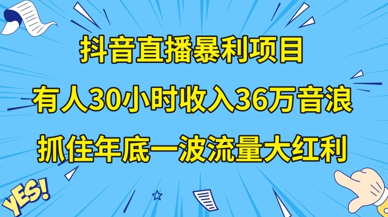 抖音直播暴利项目，有人30小时收入36万音浪，公司宣传片年会视频制作，抓住年底一波流量大红利【揭秘】-杨大侠副业网