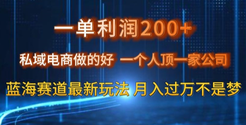 一单利润200私域电商做的好，一个人顶一家公司蓝海赛道最新玩法【揭秘】-杨大侠副业网