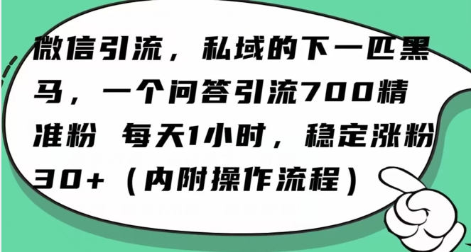 怎么搞精准创业粉？微信新赛道，每天一小时，利用Ai一个问答日引100精准粉-杨大侠副业网