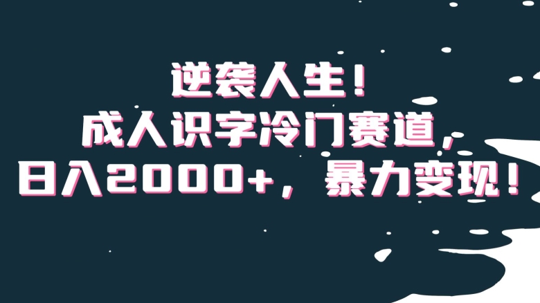 逆袭人生！成人识字冷门赛道，日入2000+，暴力变现！【揭秘】-杨大侠副业网