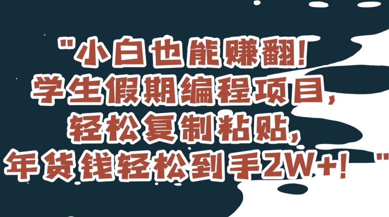 小白也能赚翻！学生假期编程项目，轻松复制粘贴，年货钱轻松到手2W+【揭秘】-杨大侠副业网