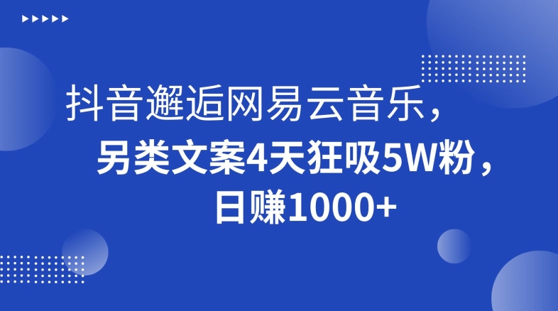 抖音邂逅网易云音乐，另类文案4天狂吸5W粉，日赚1000+【揭秘】-杨大侠副业网