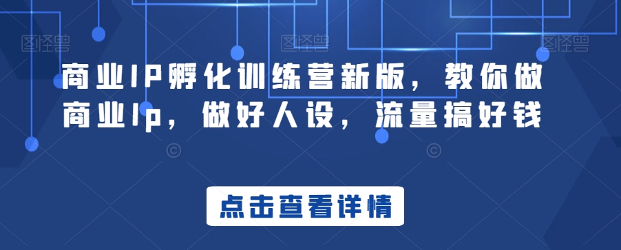 商业IP孵化训练营新版，教你做商业Ip，做好人设，流量搞好钱-杨大侠副业网