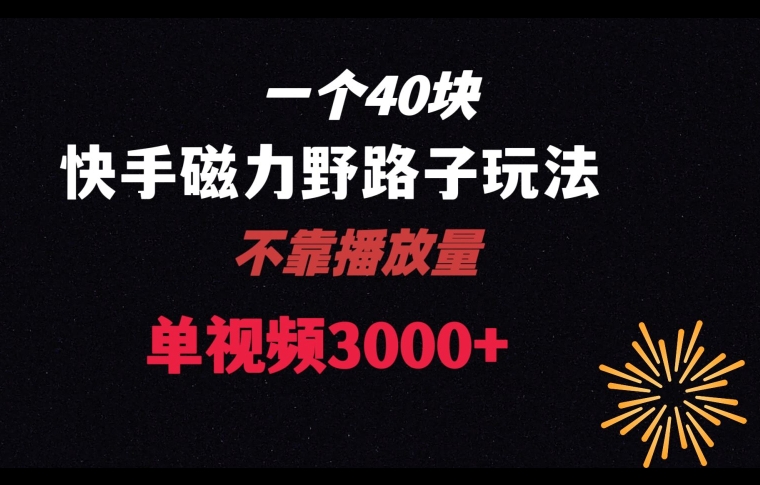 一个40块，快手联合美团磁力新玩法，无视机制野路子玩法，单视频收益4位数【揭秘】-杨大侠副业网