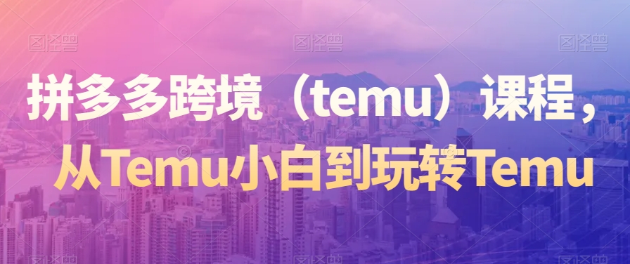 拼多多跨境（temu）课程，从Temu小白到玩转Temu-杨大侠副业网