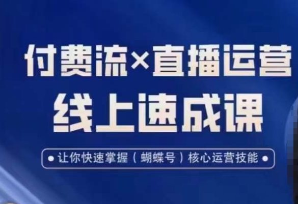 视频号付费流实操课程，付费流✖️直播运营速成课，让你快速掌握视频号核心运营技能-杨大侠副业网