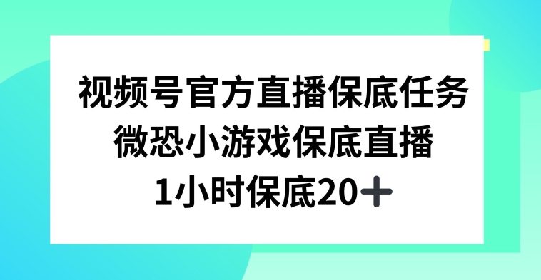 视频号直播任务，微恐小游戏，1小时20+【揭秘】-杨大侠副业网