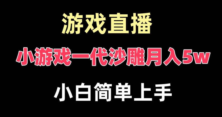 玩小游戏一代沙雕月入5w，爆裂变现，快速拿结果，高级保姆式教学【揭秘】-杨大侠副业网