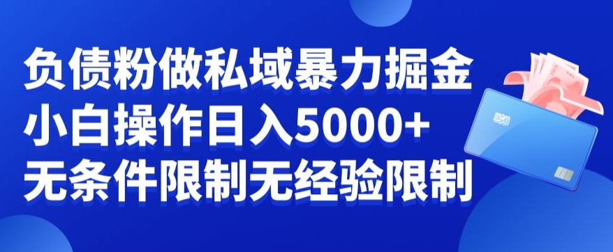 负债粉私域暴力掘金，小白操作入5000，无经验限制，无条件限制【揭秘】-杨大侠副业网