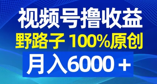 视频号野路子撸收益，100%原创，条条爆款，月入6000＋【揭秘】-杨大侠副业网