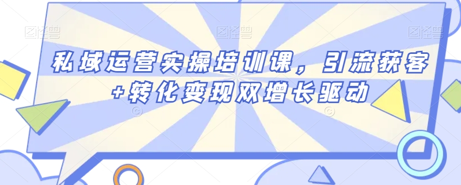 私域运营实操培训课，引流获客+转化变现双增长驱动-杨大侠副业网