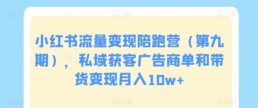 小红书流量变现陪跑营（第九期），私域获客广告商单和带货变现月入10w+-杨大侠副业网