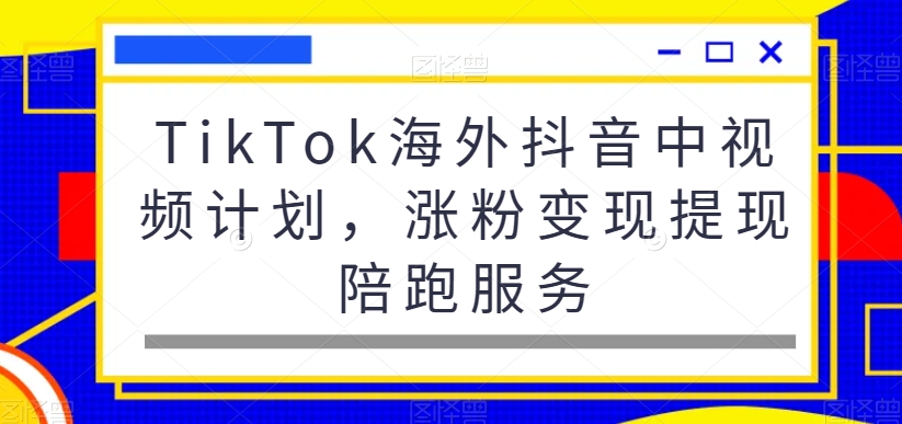 TikTok海外抖音中视频计划，涨粉变现提现陪跑服务-杨大侠副业网