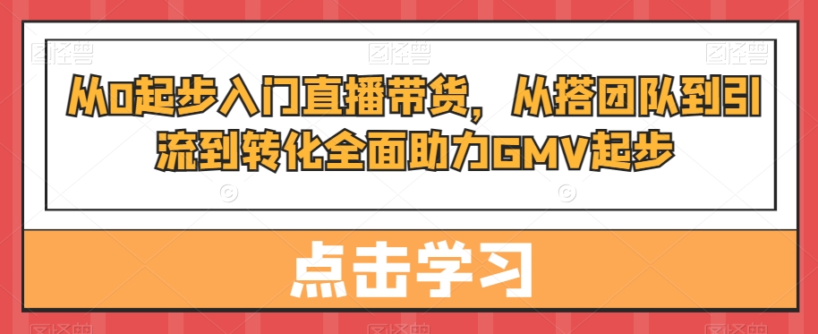 从0起步入门直播带货，​从搭团队到引流到转化全面助力GMV起步-杨大侠副业网