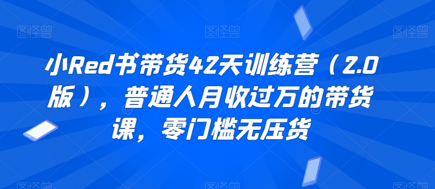 小Red书带货42天训练营（2.0版），普通人月收过万的带货课，零门槛无压货-杨大侠副业网