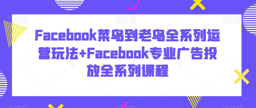 Facebook菜鸟到老鸟全系列运营玩法+Facebook专业广告投放全系列课程-杨大侠副业网